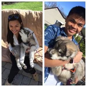 Meet your Posher, Telbran